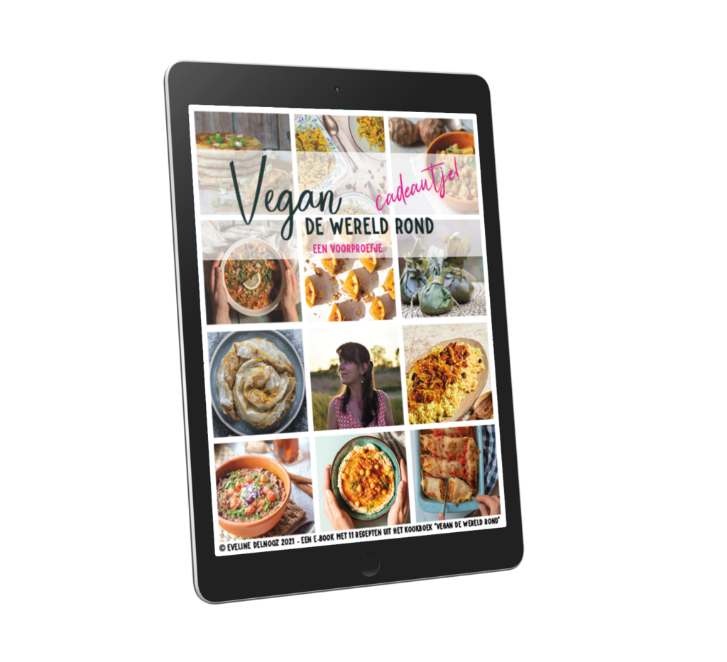 Gratis e-book cadeautje - 11 recepten uit "vegan de wereld rond" een kookboek door Eveline Delnooz.
