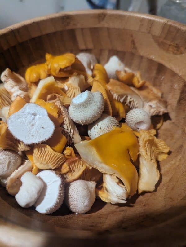 3. 2 november - Workshop wildpluk paddestoelen, koken én diner